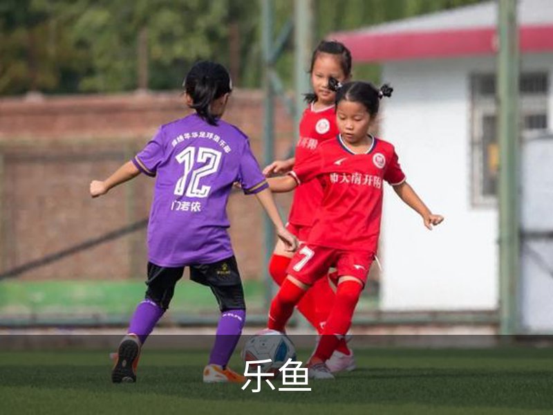 乐鱼介绍